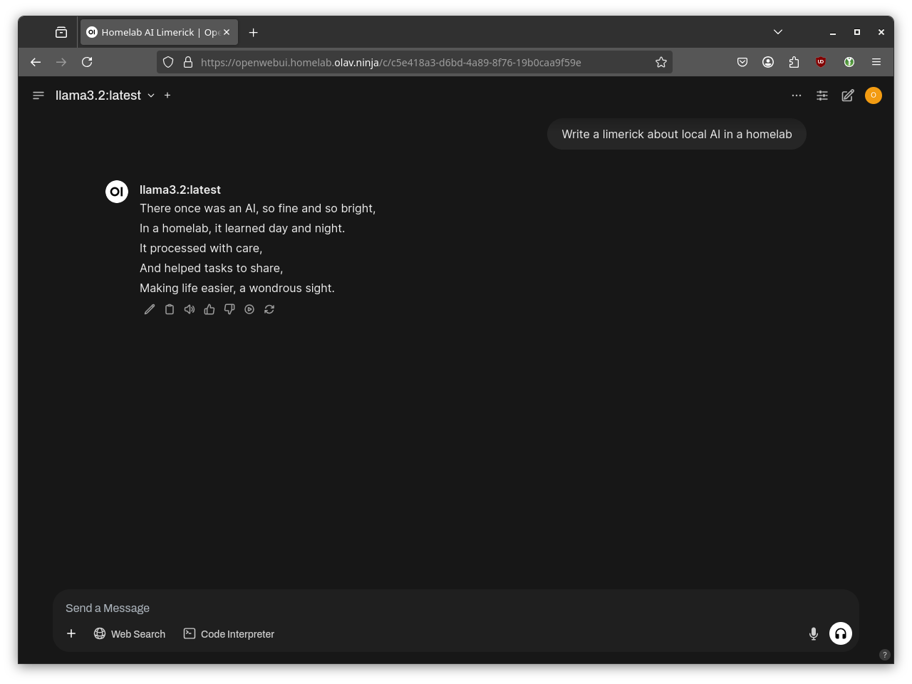 Screenshot of a limerick generated by the local AI in Open WebUI